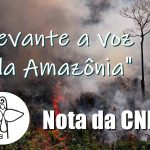 CNBB lança nota sobre situação da Amazônia