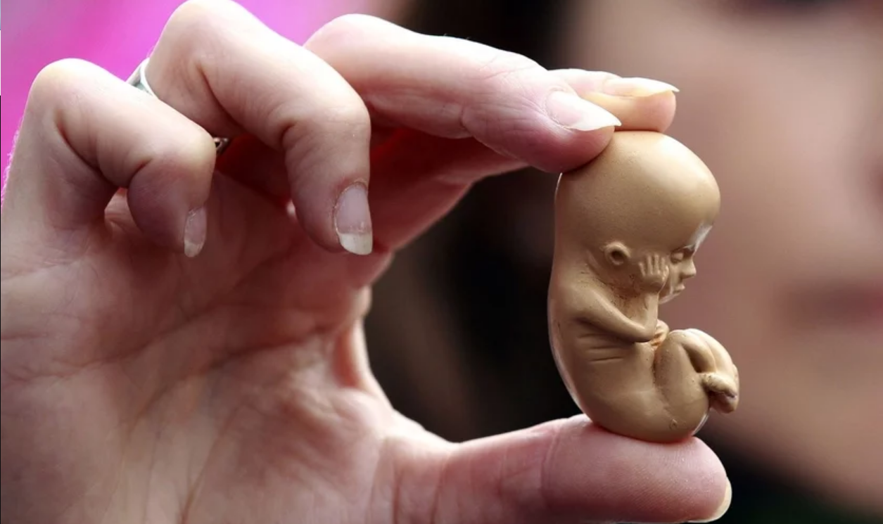 contra aborto