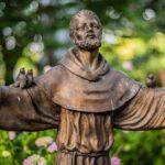 Francisco de Assis e a natureza: cortesia e reverência